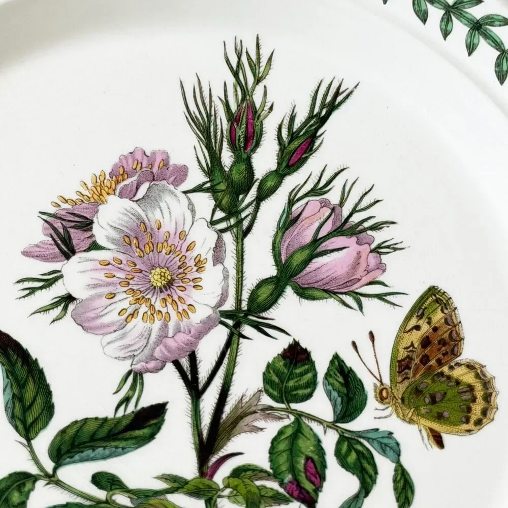 Portmeirion Botanic Garden Rosa Canina Dog Rose Salad Plate 8.5